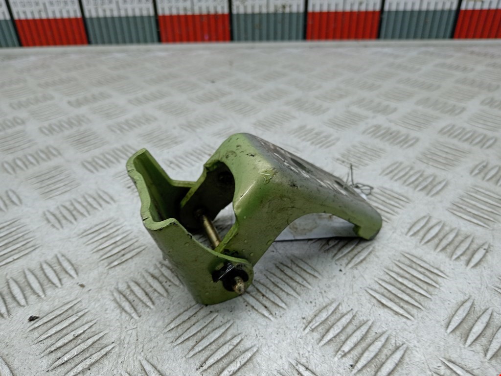 Петля двери передней правой Citroen C3 1