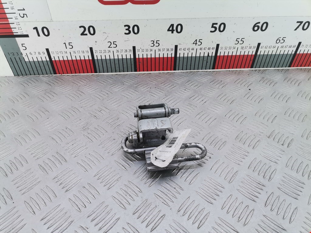 Петля двери задней правой Audi A6 C5