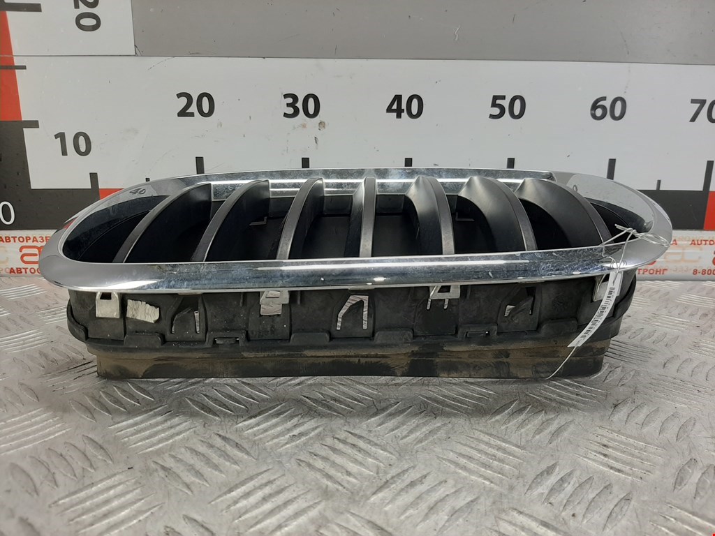 Решетка радиатора BMW X5 (E70) купить в Беларуси