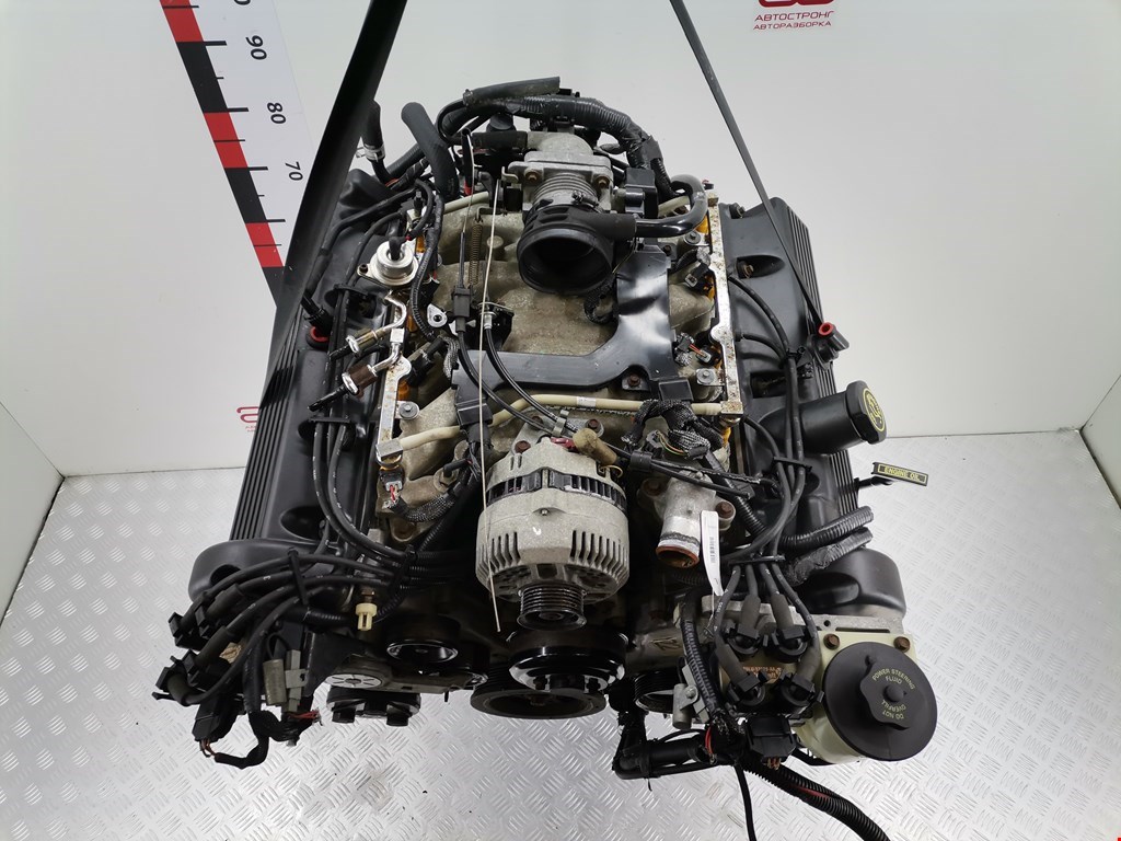 Двигатель (ДВС) Ford Thunderbird 10 купить в России