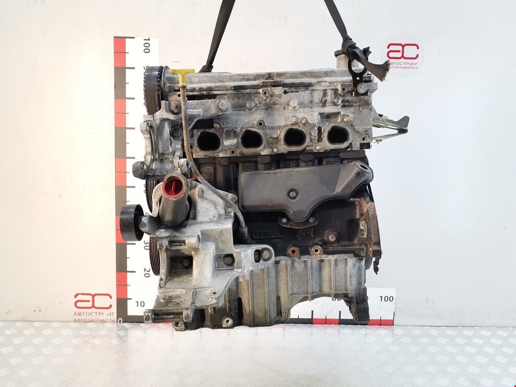 Двигатель (ДВС) Ford Escort 6 купить в Беларуси
