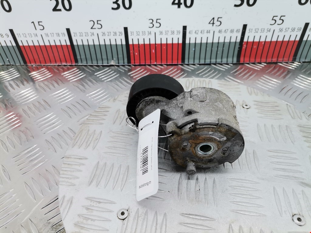 Натяжитель ремня генератора Fiat Doblo 2 (223) купить в России