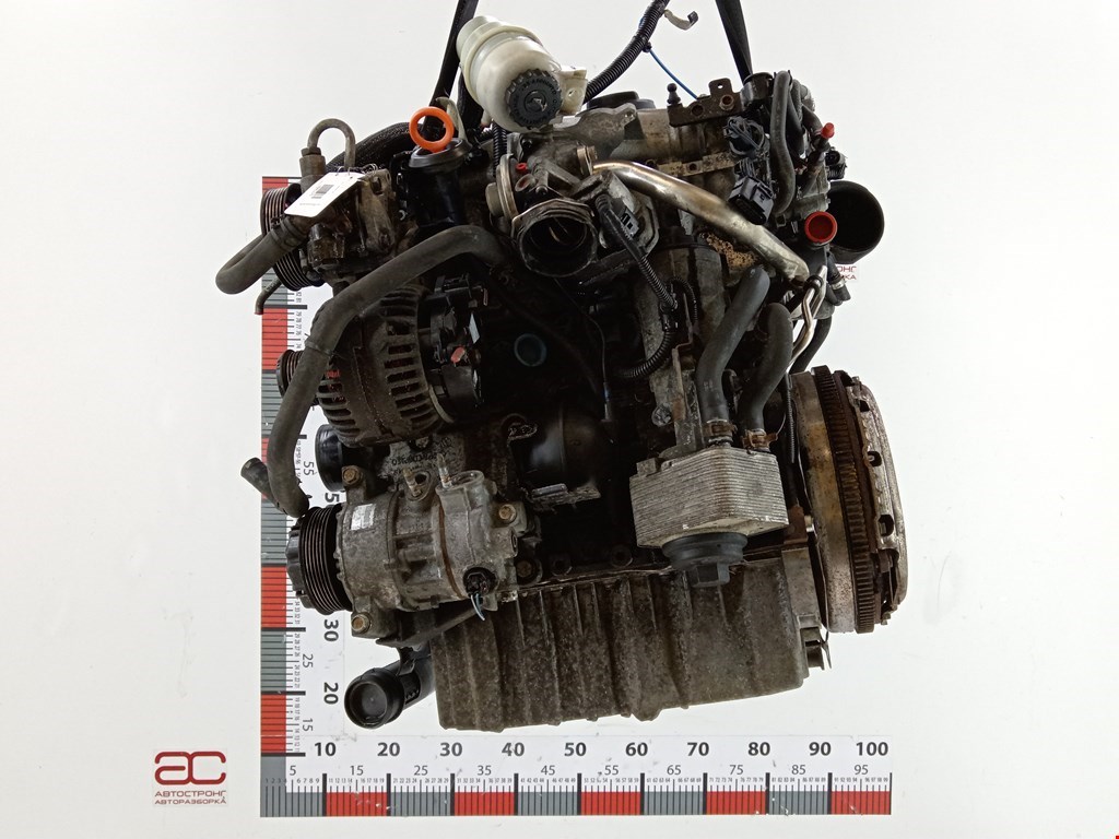 Двигатель (ДВС) Jeep Patriot (MK) купить в Беларуси