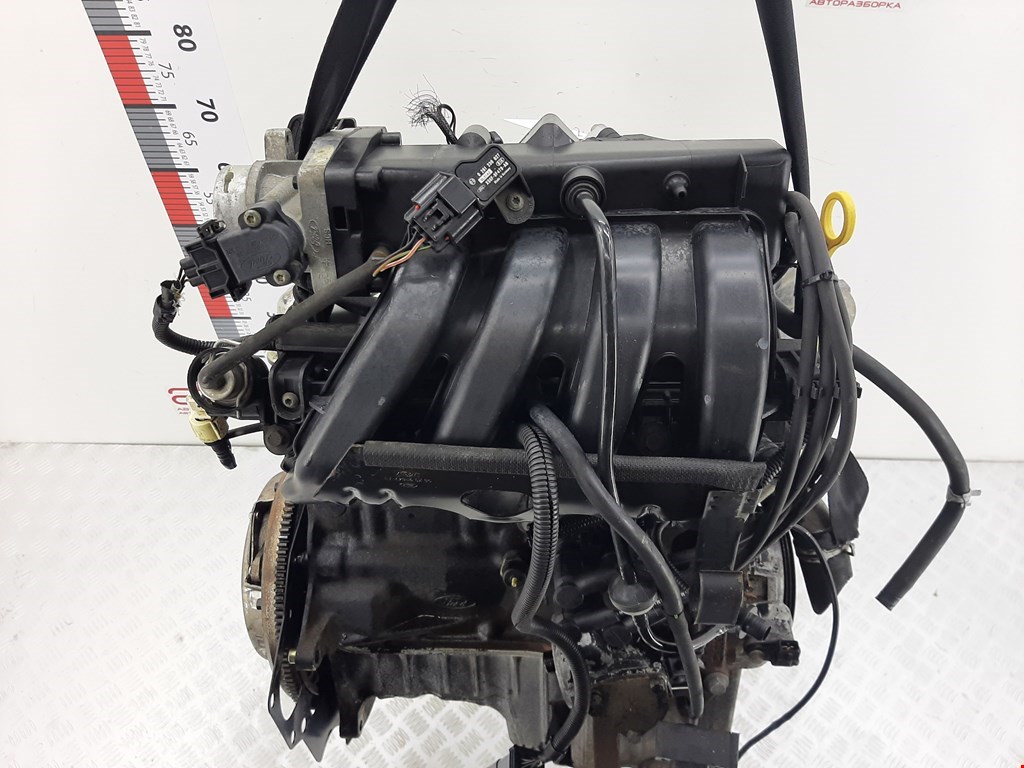 Двигатель (ДВС) Ford Fiesta 4 купить в России