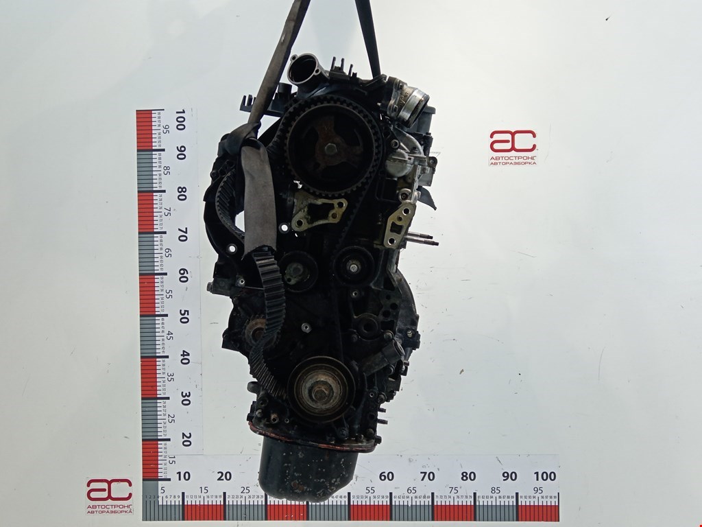Двигатель (ДВС) Ford Focus 2 купить в Беларуси