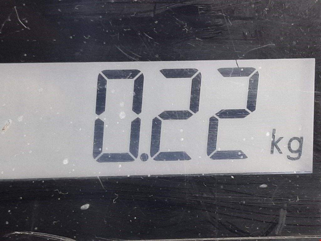 Регулятор (клапан) холостого хода Mazda 3 BK купить в Беларуси