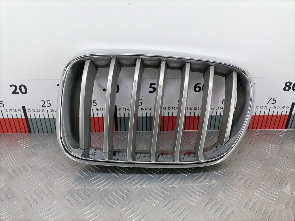 Решетка радиатора BMW X3 (F25)