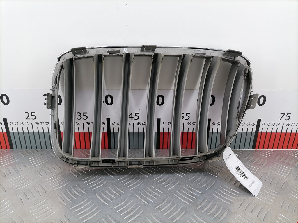 Решетка радиатора BMW X3 (F25) купить в России