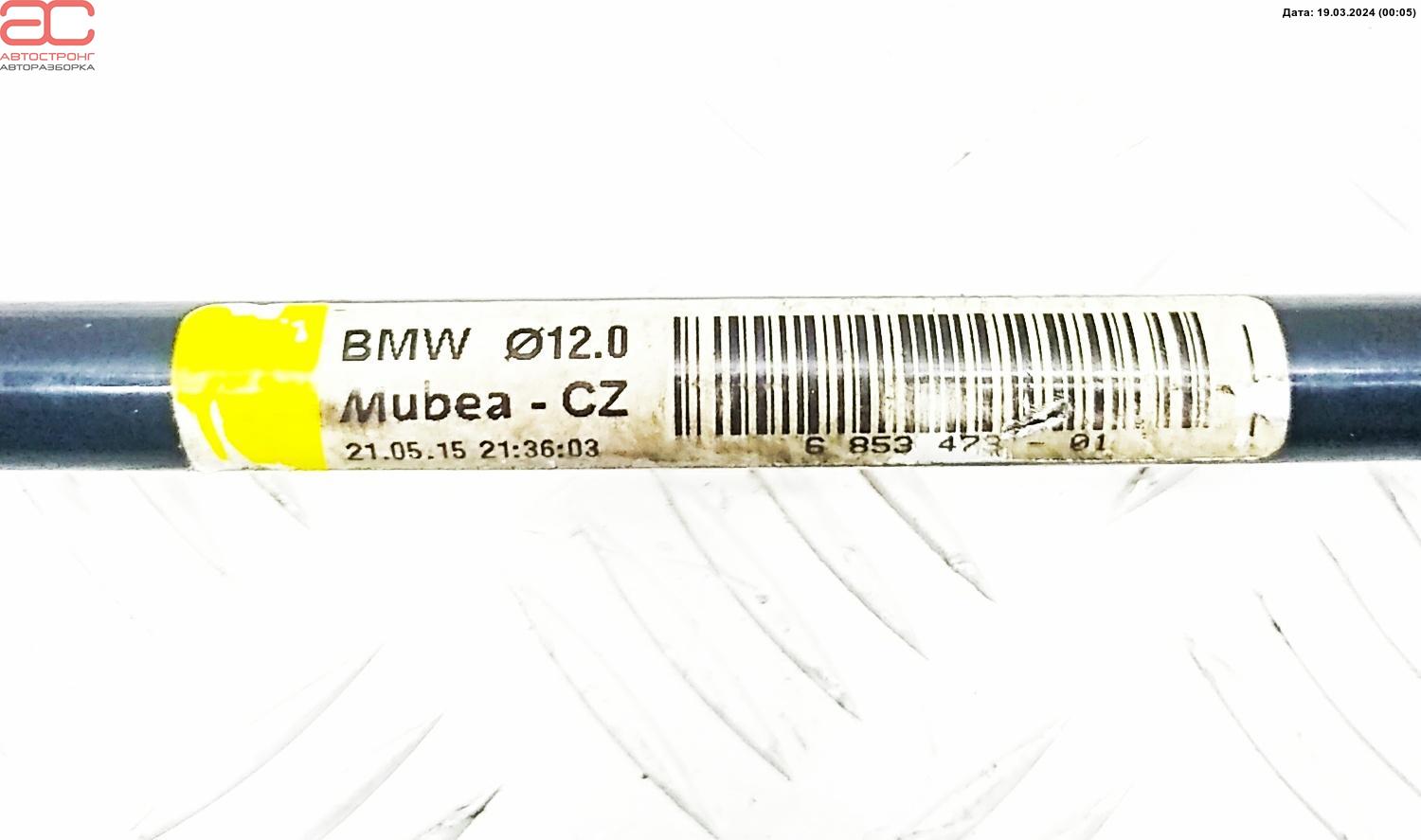 Стабилизатор подвески задний (поперечной устойчивости) BMW 3-Series (F30/F31/F34/F35) купить в России